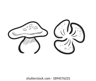 Mushroom Illustration Sketch in Vector Illustration Format