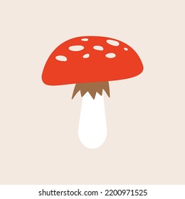 mushroom illustration of mushroom vector illustration