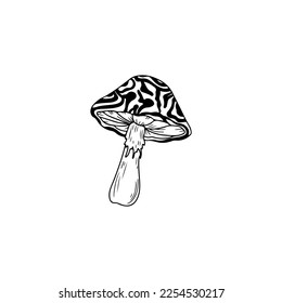 mushroom illustration vector with concept
