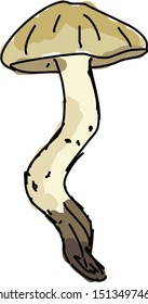 Mushroom, illustration, vector on white background.