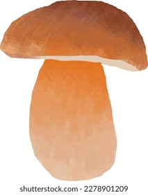 Mushroom illustration watercolor style design