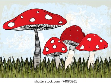 mushroom illustration/vector