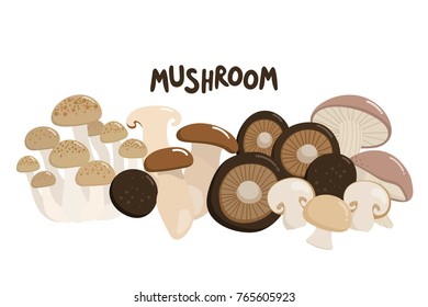 mushroom include shiitake, shimeji, champignon, king oyster and porcini