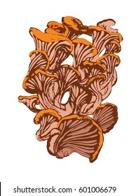  mushroom ink drawing,color