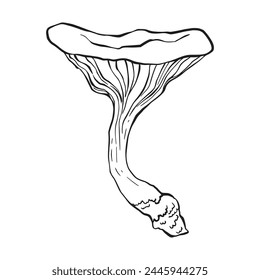 Hongo en tinta estilo de boceto aislado. Alimento dibujado a mano. Garabato de seta silvestre. Micología. Doodle venenoso y seborreico