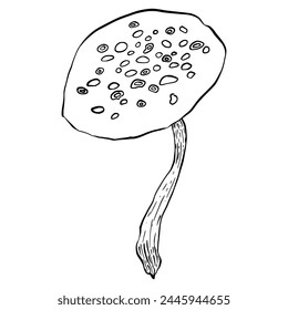 Mushroom in ink sketching style isolated. Hand drawn food item. Outline scribble of wild mushroom. Mycology. Poisonous, toadstools doodle