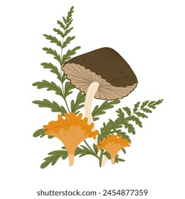 Mushroom isolated element. Autumn composition with greaser, chanterelle, fern leaves. Fall mushrooms vector illustration for sticker, logo, print. White background.