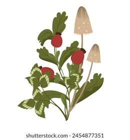 Mushroom isolated element. Autumn honey agaric with leaves, berry, shamrock leaf. Fall mushrooms vector illustration for sticker, logo, print. White background.