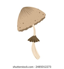 Mushroom isolated illustration. Autumn honey agaric mushroom. Fall mushroom for sticker, logo, children book, print. Isolated vector element. White background.