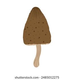 Mushroom isolated illustration. Autumn morel mushroom. Fall mushroom for sticker, logo, children book, print. Isolated vector element. White background.