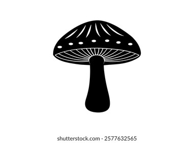 mushroom isolated on black mushroom, 