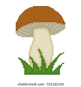 Mushroom isolated on white background