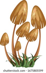 Mushroom isolated on white background. illustration vector