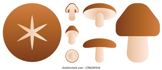 Mushroom isolated on white background. Vector illustration.