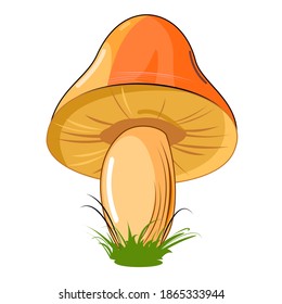 Mushroom. Isolated on white background. Cute cartoon style. Beautiful illustration. With grass. Vector