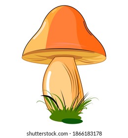 Mushroom. Isolated on white background. Cute cartoon style. Beautiful illustration. With grass. Vector