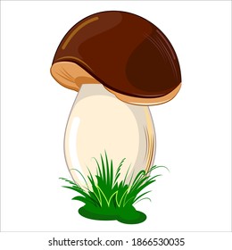 Mushroom. Isolated on white background. Cute cartoon style. Beautiful illustration. With grass. Vector
