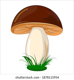 Mushroom. Isolated on white background. Cute cartoon style. Beautiful illustration. With grass. Vector