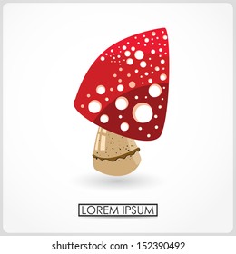 Mushroom isolated on white. vector