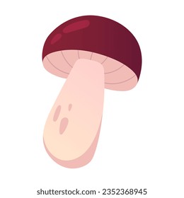 Mushroom isolated on white. Vector illustration