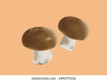 Mushroom king oyster food mushroom