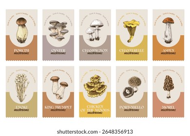 Mushroom labels with hand drawn illustrations