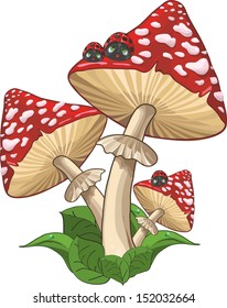 mushroom and ladybug