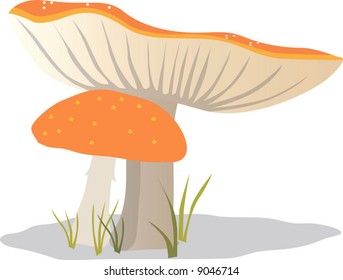 mushroom in landscape	
