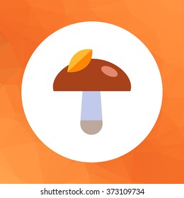 Mushroom with leaf on cap