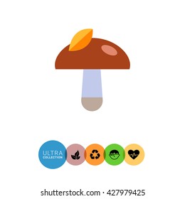 Mushroom with leaf on cap