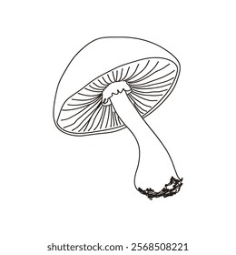  mushroom line art. continuous line fungi