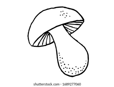 Mushroom line art hand drawn. 