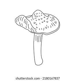 Mushroom Line Art Logo illustrations. Hand drawn fungi. vector.