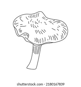 Mushroom Line Art Logo illustrations. Hand drawn fungi. vector.