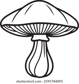 Mushroom line art on white background