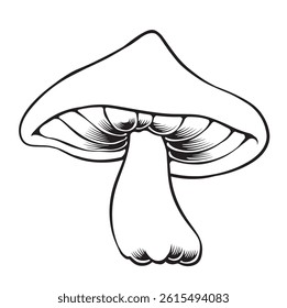 mushroom line art style vector illustration