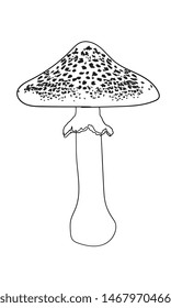 mushroom line drawing illustration vector outline drawing