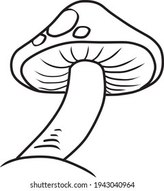 mushroom line vector illustration isolated on white background ,plant top view