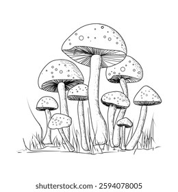 Mushroom Line Vector T-shirt Design, Mushroom Line Vector Art