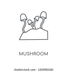 Mushroom linear icon. Mushroom concept stroke symbol design. Thin graphic elements vector illustration, outline pattern on a white background, eps 10.