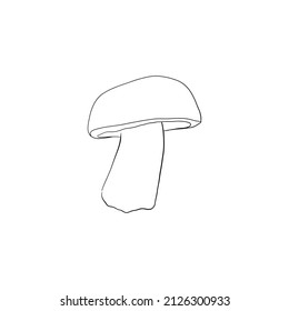 mushroom linear vector hand drawing illustration isolated on white background, mushroom draw vector illustration 