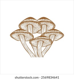 mushroom logo design,professional mushroom logo,badge,vegetarian,organic,mushroom vegetables,vitage,background,food,logo,nature,botanical,bio,harvest
