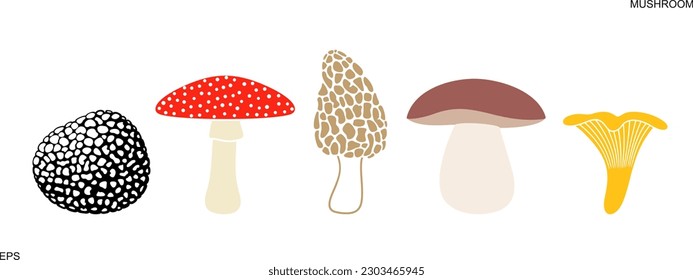 Mushroom logo. Isolated mushroom on white background