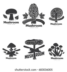 Mushroom logo templates for your design. Autumn, fallen leaves of trees, dry grass. Mushroom badges, labels, brochures, business templates. Vector illustration isolated on white background