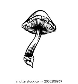 Mushroom Logo Vetor. Mushroom Silhouette Vector illustration