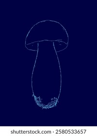 Mushroom with a long stem is shown in a blue background. The mushroom is drawn in a stylized way, with a focus on its stem. The blue background adds a sense of depth and contrast to the image