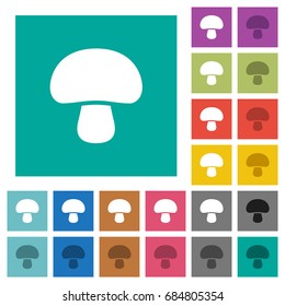 Mushroom multi colored flat icons on plain square backgrounds. Included white and darker icon variations for hover or active effects.