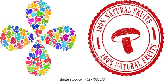 Mushroom multicolored curl flower with four petals, and red round 100 percent NATURAL FRUITS scratched stamp imitation. Mushroom symbol inside round badge. Element curl organized from random mushroom