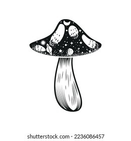mushroom mystical icon isolated flat