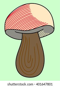 Mushroom object ingredient for food vector illustration